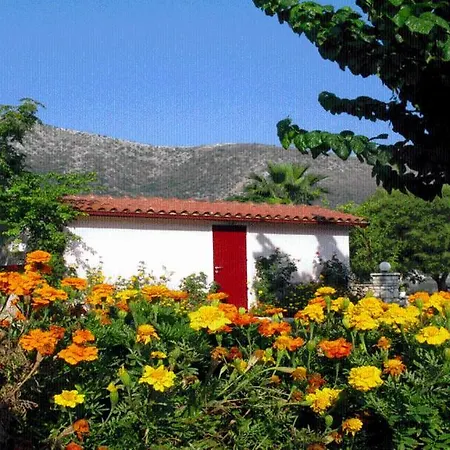 The Garden'S Studios-3