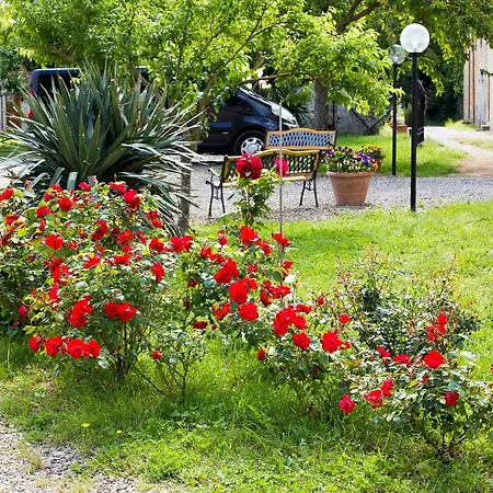 Fattoria il Casone-3