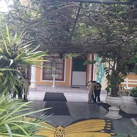 Villa Butterfly-2
