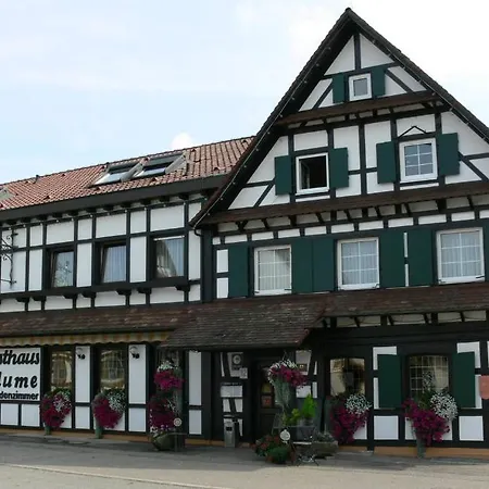 Hotel Landgasthof Blume-3