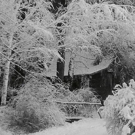 Rosehill Cottage-3