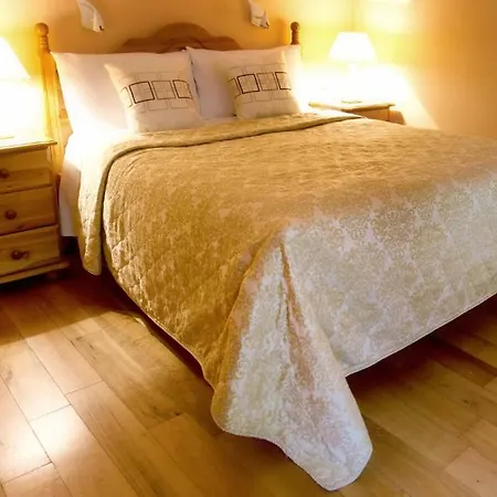 Mccarthy'S Lodge B&B-3