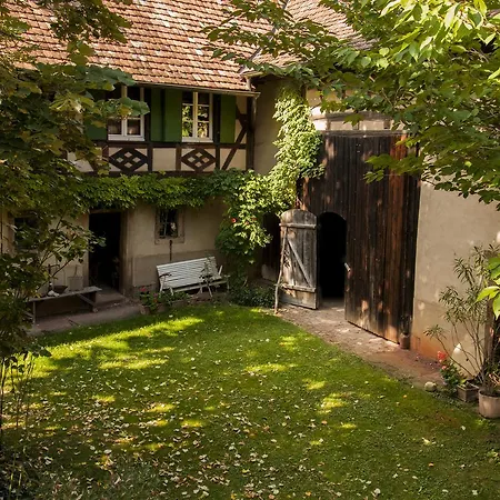 Unter Der Linde-3
