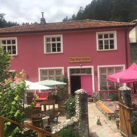 The Pink House-2