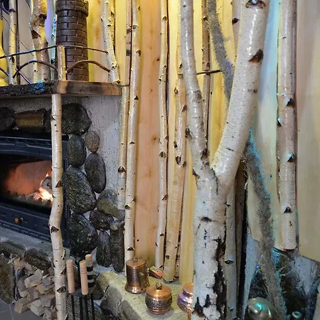 Casa Anina-2