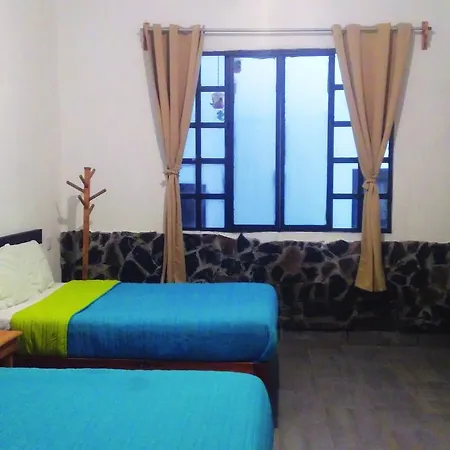 Hotel Falcon-3