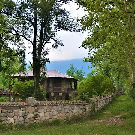 Guest House Mart Villa-3