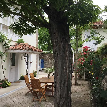 Villa Elena-2