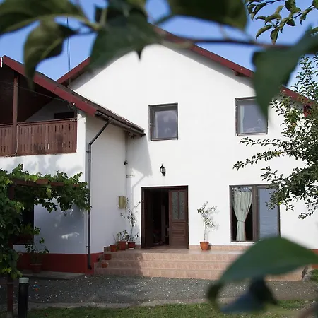 Vila Toate Panzele Sus-2