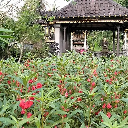 Pondok Indah Homestay-2