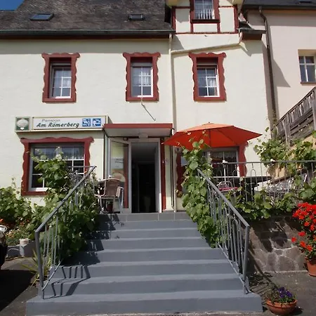 Pension Am Roemerberg-3