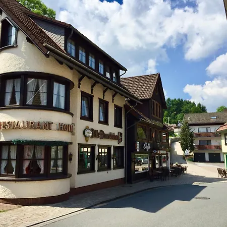 Landhotel Alte Aue-3