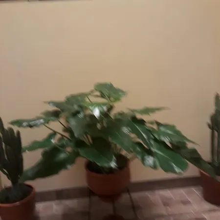 El Marquez-3
