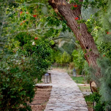Azalai Desert Lodge-2