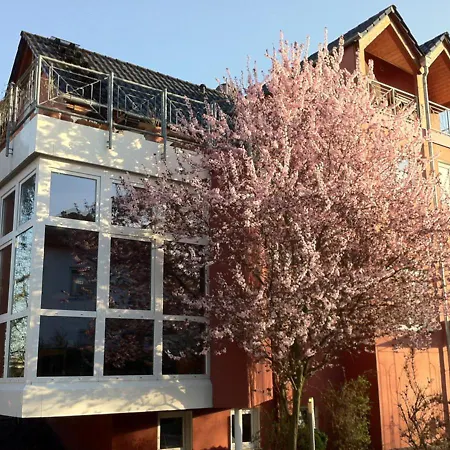 Gästehaus Kirschgarten-3