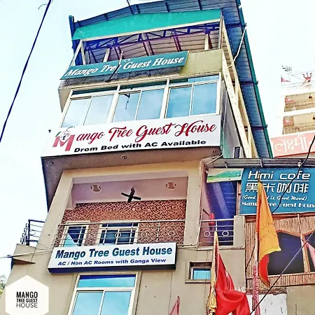 Mango Tree Guest House-3