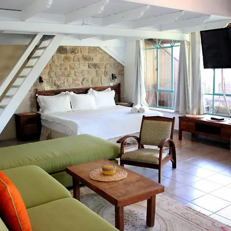 Pina Balev Inn-2
