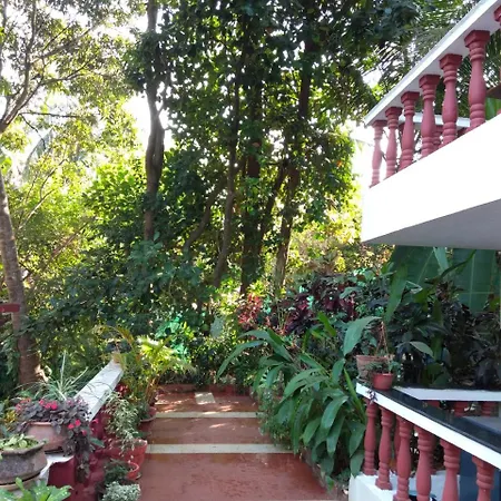 Casa De Olga-2