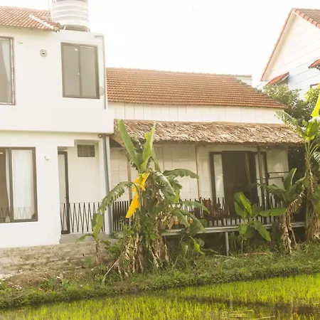 Mimi House-2