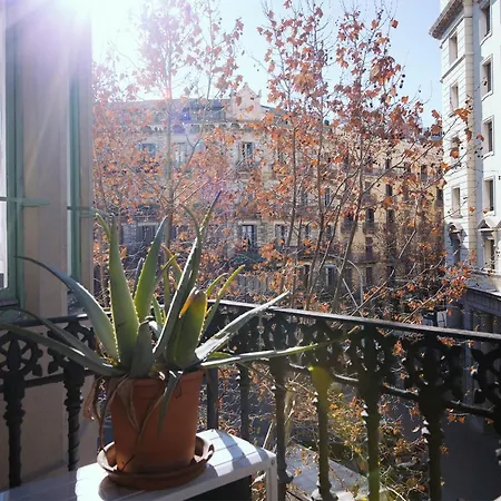 Hostal Eixample-3