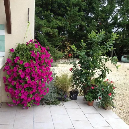 Chateau Haut Baron-2