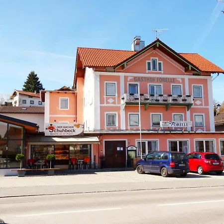 Hotel Gasthof Forelle-2