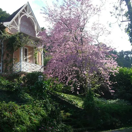 Villa Violeta-2