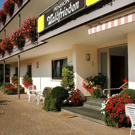 Pension Waldfrieden-3