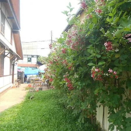 Le Bougainvillier-3
