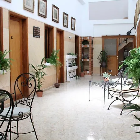 The Garden Hostel Las Palmas-3