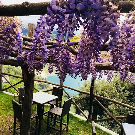 Giuliana'S View-2