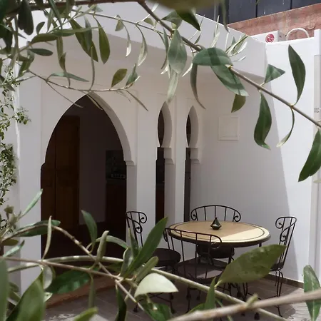 Riad Safina-3