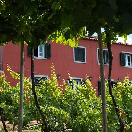 Quinta Das Vinhas-3