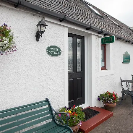 White Cottage B&B-3