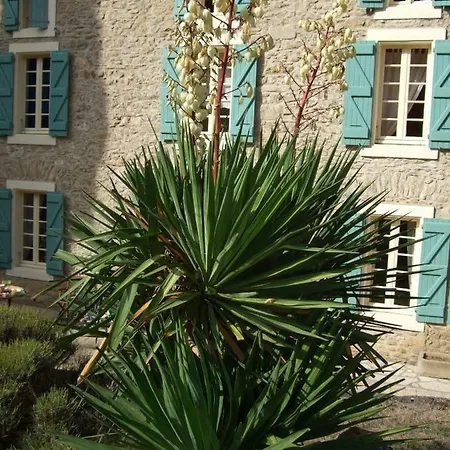 Domaine Saint Andrieu-3