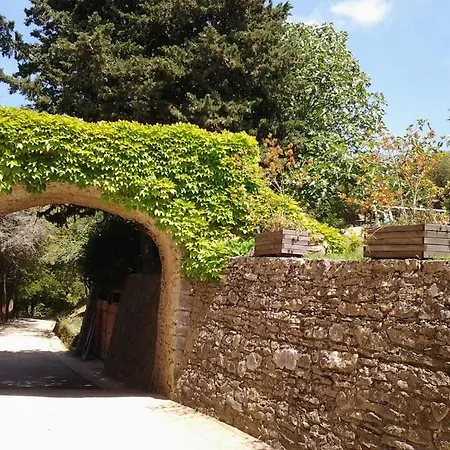 Domaine Saint Andrieu-2
