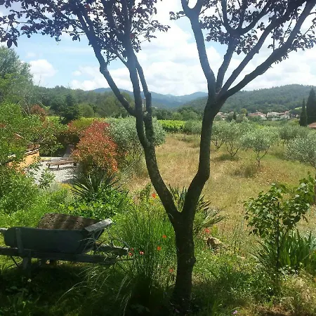 Les Anes De Petit Jean-2