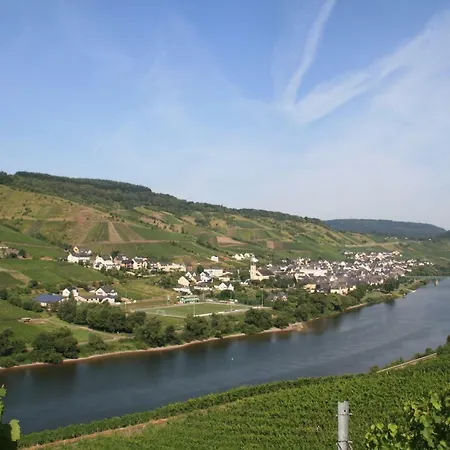 Weingut-Brennerei-Gästehaus Emil Dauns-2