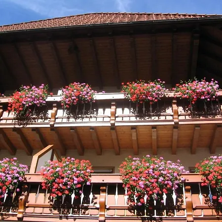 Hotel Gasthaus Zum Hirschen-2