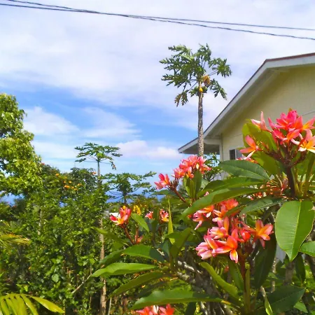 Bears' Place Guest House-2