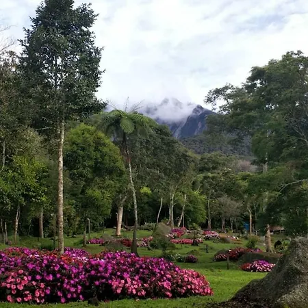 Spring Garden-2