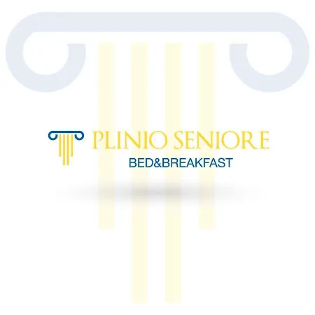 Plinio Seniore-2