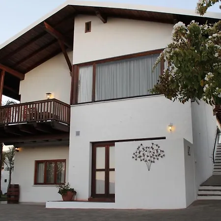 Hilltop Guest House-3