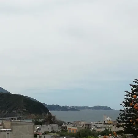 Dalla Maestra Lucia-3