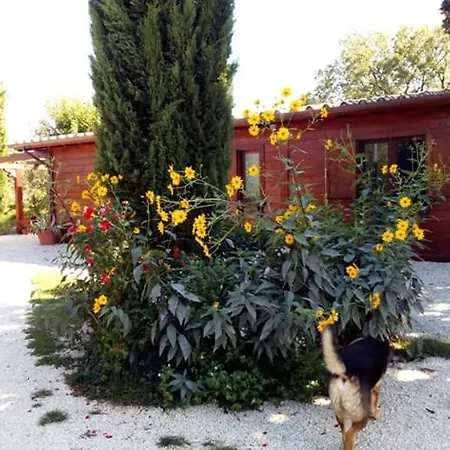 Il casale di rosaria-2