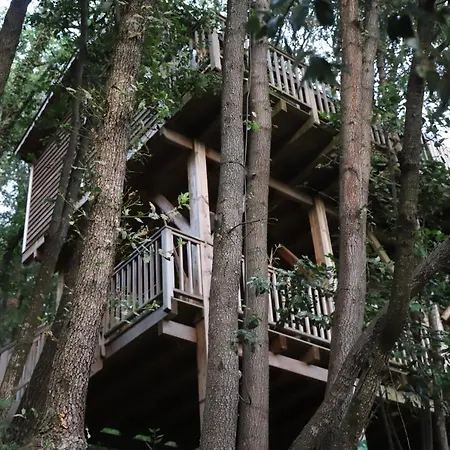 Orion Treehouses-3