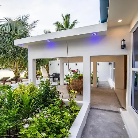 Lodger Guest House-3