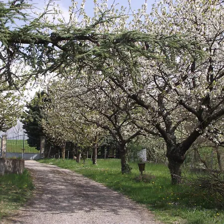 Domaine des cigales, chambre d'hôtes-2