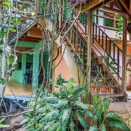 Hospedaje el Bosquecito-3