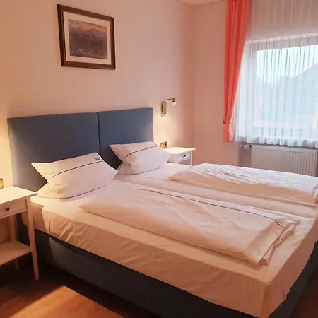 Hotel Gasthof zum Schwan-2